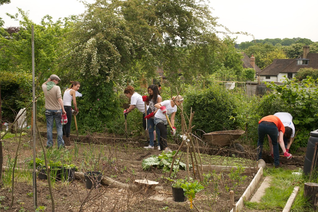 Staff at work