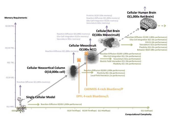 brainandsupercomputer