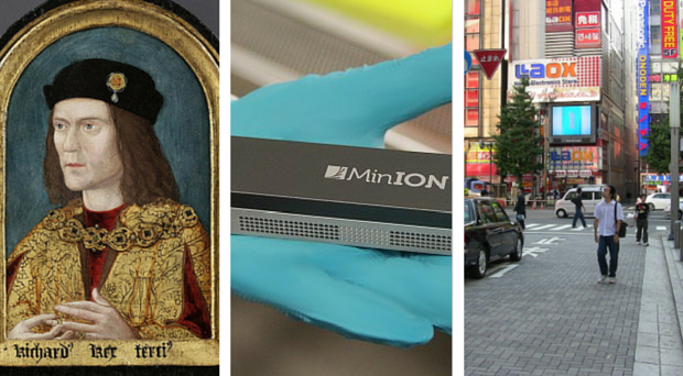 Richard III, MinION sequencer, Japan