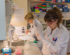 Bryony and her PhD student in the lab.