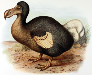 Frederick William Frohawk, Public Domain