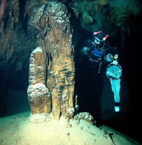The adventurous search for cavernous crustaceans. Prof. Tom Iliffe cave diving for M. halope on Bermuda