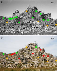 november-image-of-the-month_bmc-ecology-16-53