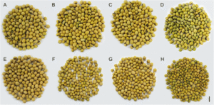 fig4