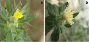 fig8