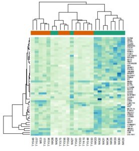 Figure 1 from Planken et al. The Author(s), CC Hierarchical clustering (heat-map) demonstrating the expression profiles of the top 50 differentially regulated genes in Parkinson’s disease (TY-, ME- red) versus normal skin (NK - green). Gene expression levels are presented as colour variations from dark blue (high expression) to pale green (low expression) for each individual sample (columns) and for each gene (rows)