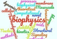wordcloud