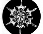 A picture of a Snow Crystal taken by Wilson Bentley, "The Snowflake Man."
