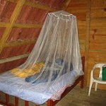Image from http://en.wikipedia. org/wiki/Mosquito_ net