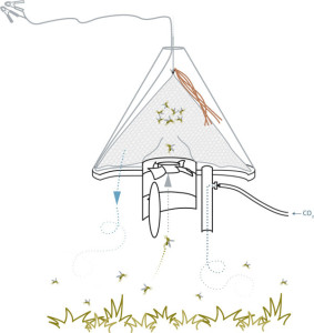 Cross-sectional schematic view of the Suna trap. From; Hiscox et al. Malaria Journal 2014 13:257 doi:10.1186/1475-2875-13-257