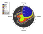 Metadata plot