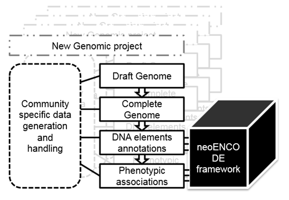 neoENCODE