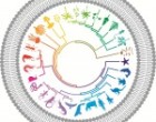 BMC-Biology-iconic-image-150x150