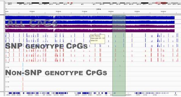epigenome data