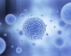 503920843 - Cells under microscope