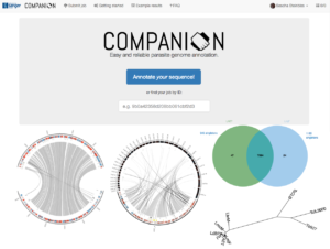 Companion Header
