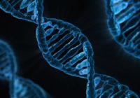 dna-163466_640