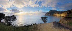Picture of the northern end of Maria Island, one of the release sites.