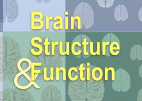 Brain Structure and Function cover