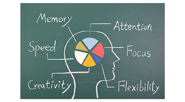 brain graph