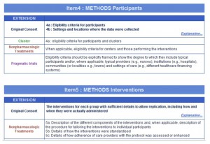 An example of a WebCONSORT custom checklist