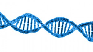 dna helix