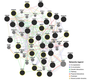 Preliminary model using Genemania algorithm