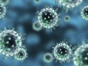 Influenza virus