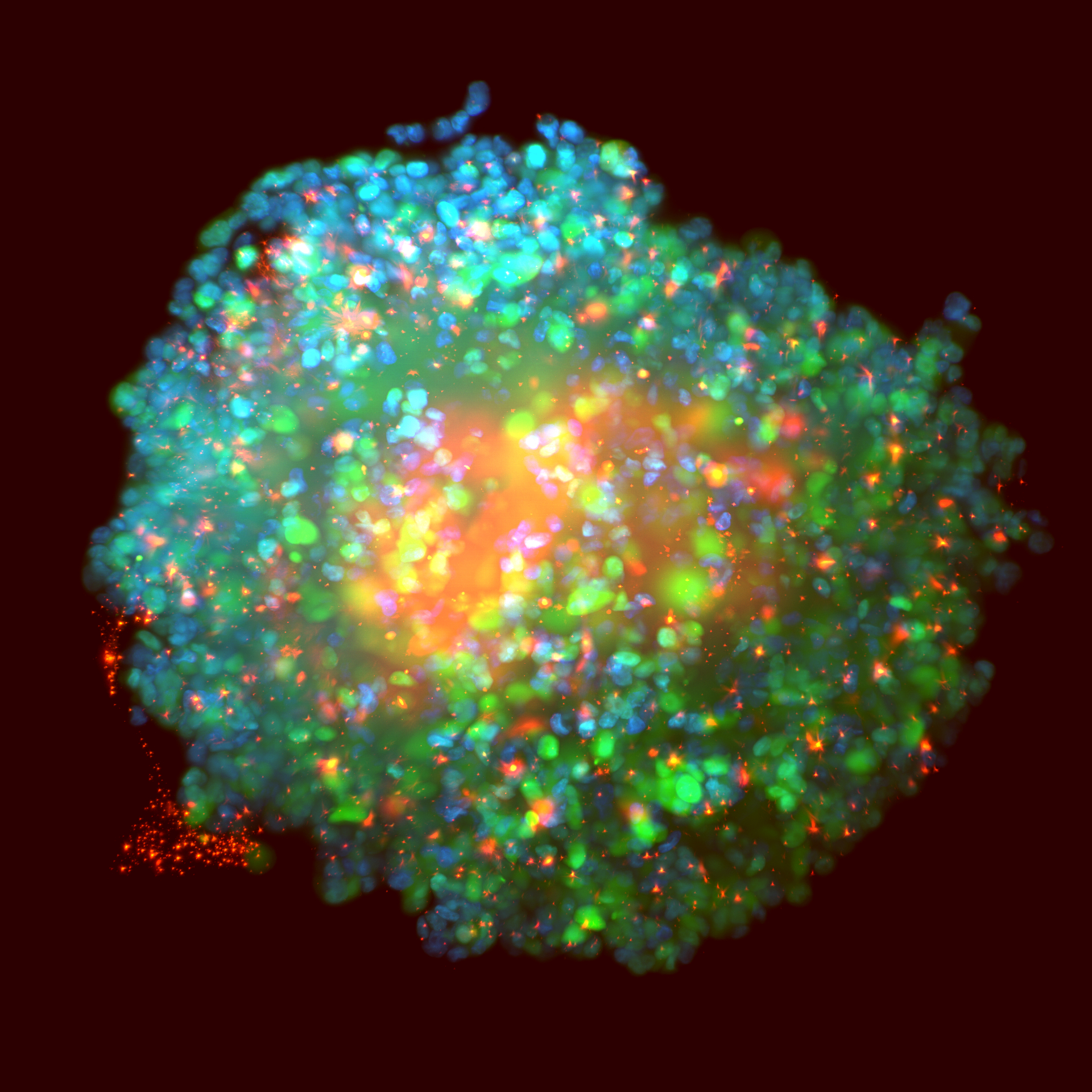 Immuno-001
