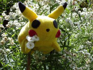 Pokemon Go is a mobile phone app with some unexpected health benefit.
