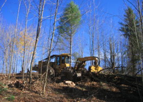 A yellow digger is at work in a forest